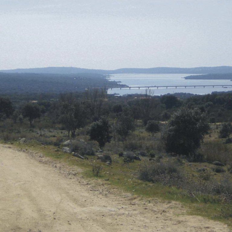 Canada-real-segoviana