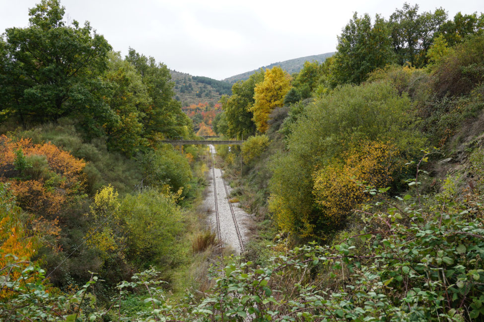 via-2-laacebeda