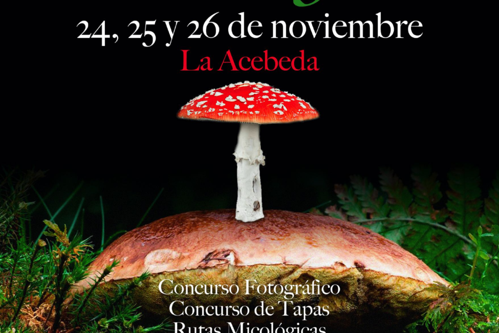 foto-concurso